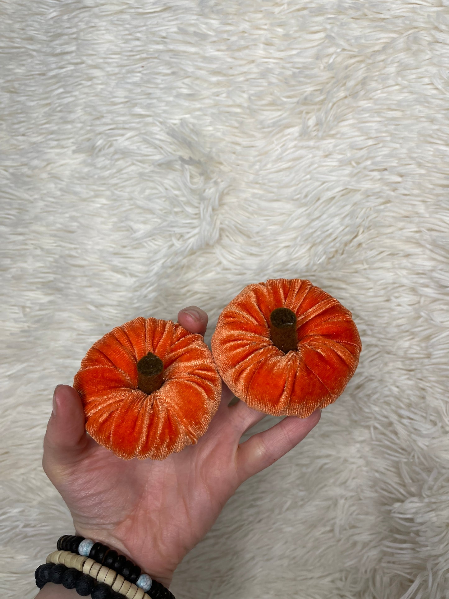 Pumpkin piggies | CLIP OR NYLON