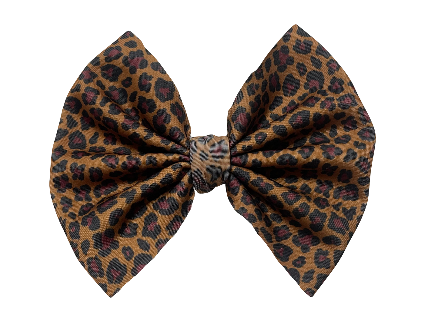 Leopard | Swim
