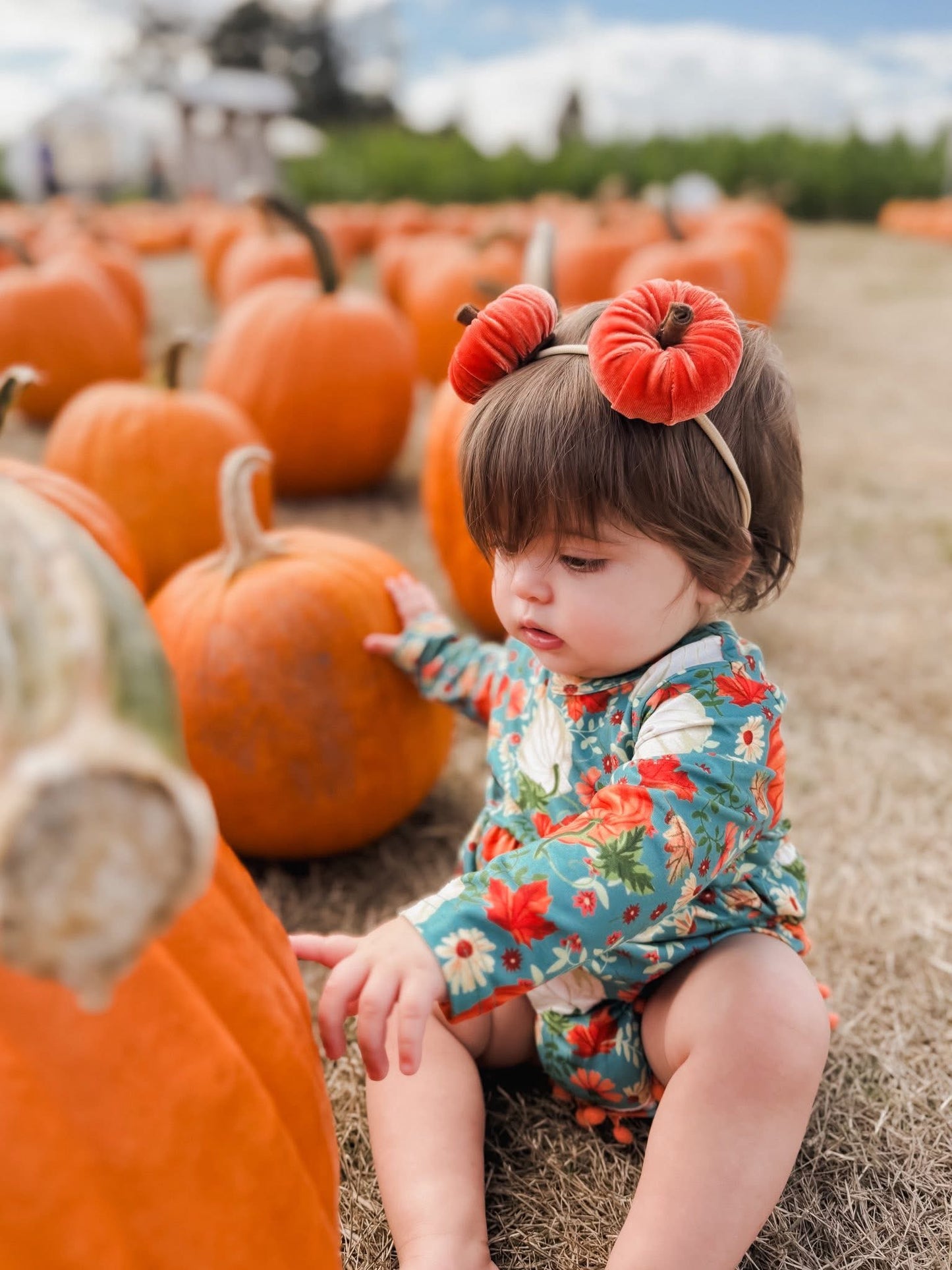 Pumpkin piggies