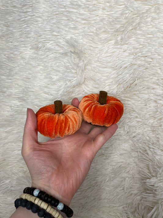 Pumpkin piggies | CLIP OR NYLON